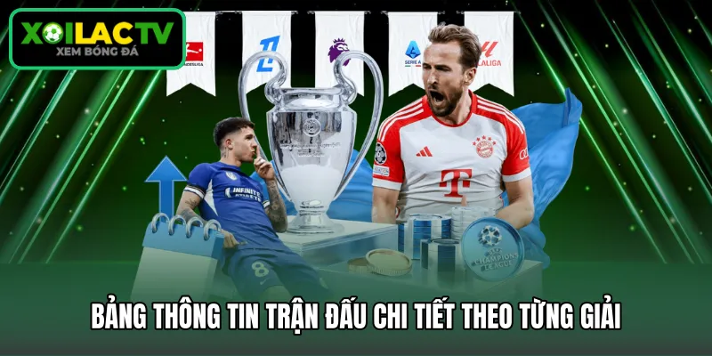 Bảng thông tin trận đấu chi tiết theo từng giải 