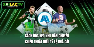 Cách Đọc Kèo Như Dân Chuyên - Chiến Thuật Hiểu Tỷ Lệ Nhà Cái