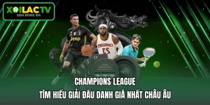 Champions League - Tìm Hiểu Giải Đấu Danh Giá Nhất Châu Âu