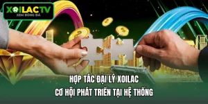 Hợp Tác Đại Lý Xoilac - Cơ Hội Phát Triển Tại Hệ Thống