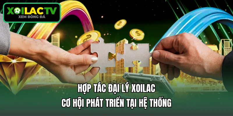 Hợp Tác Đại Lý Xoilac - Cơ Hội Phát Triển Tại Hệ Thống