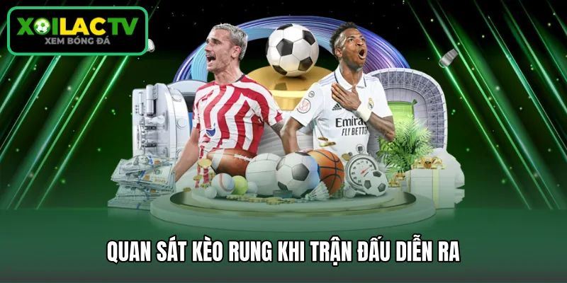 Quan sát kèo rung khi trận đấu diễn ra