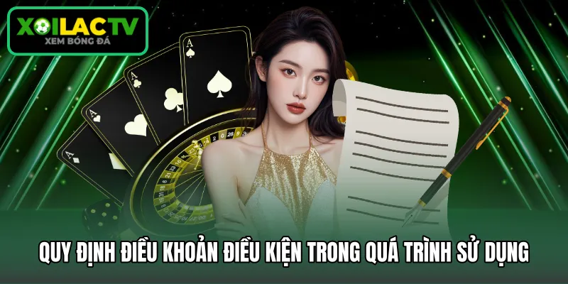 Quy định điều khoản điều kiện trong quá trình sử dụng